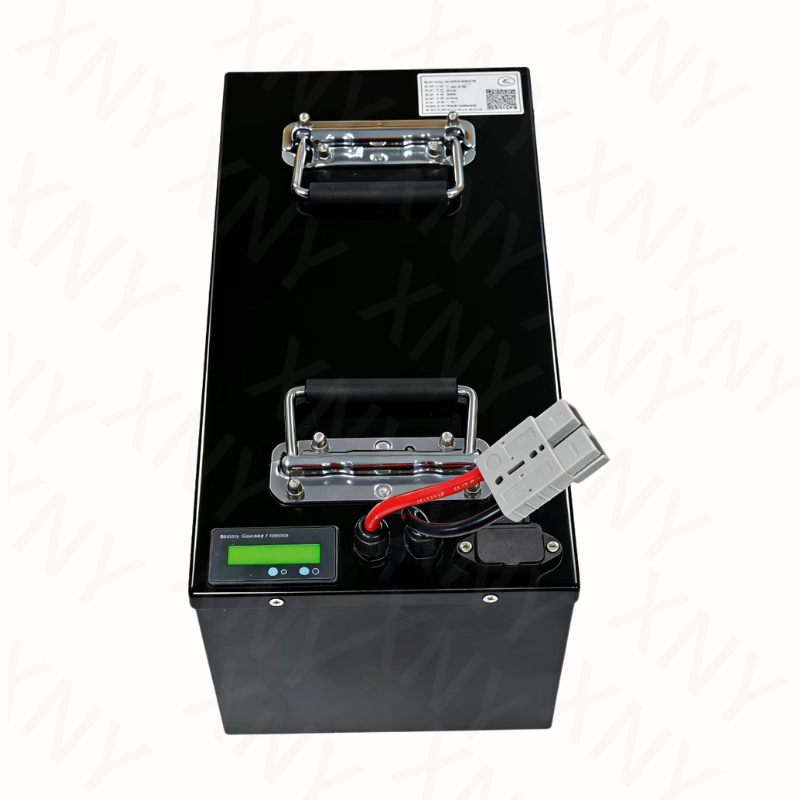 XNY-72V Lithium Battery LifePo - đánh giá và giá 72V 60Ah Lifepo4 Battery Pack