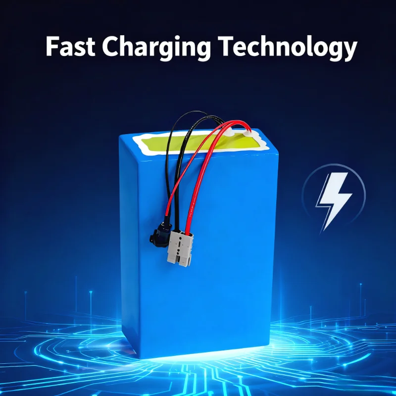 BMS 72V Lithium-Ion Battery Pa - đánh giá và giá 72V 60Ah Lifepo4 Battery Pack